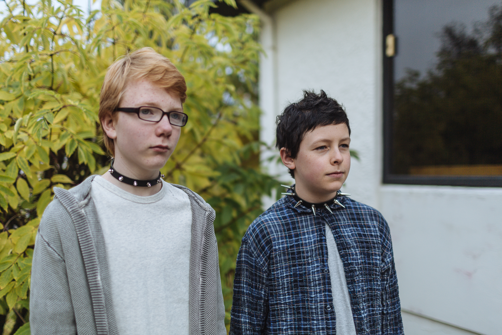 pity-the-lovers still