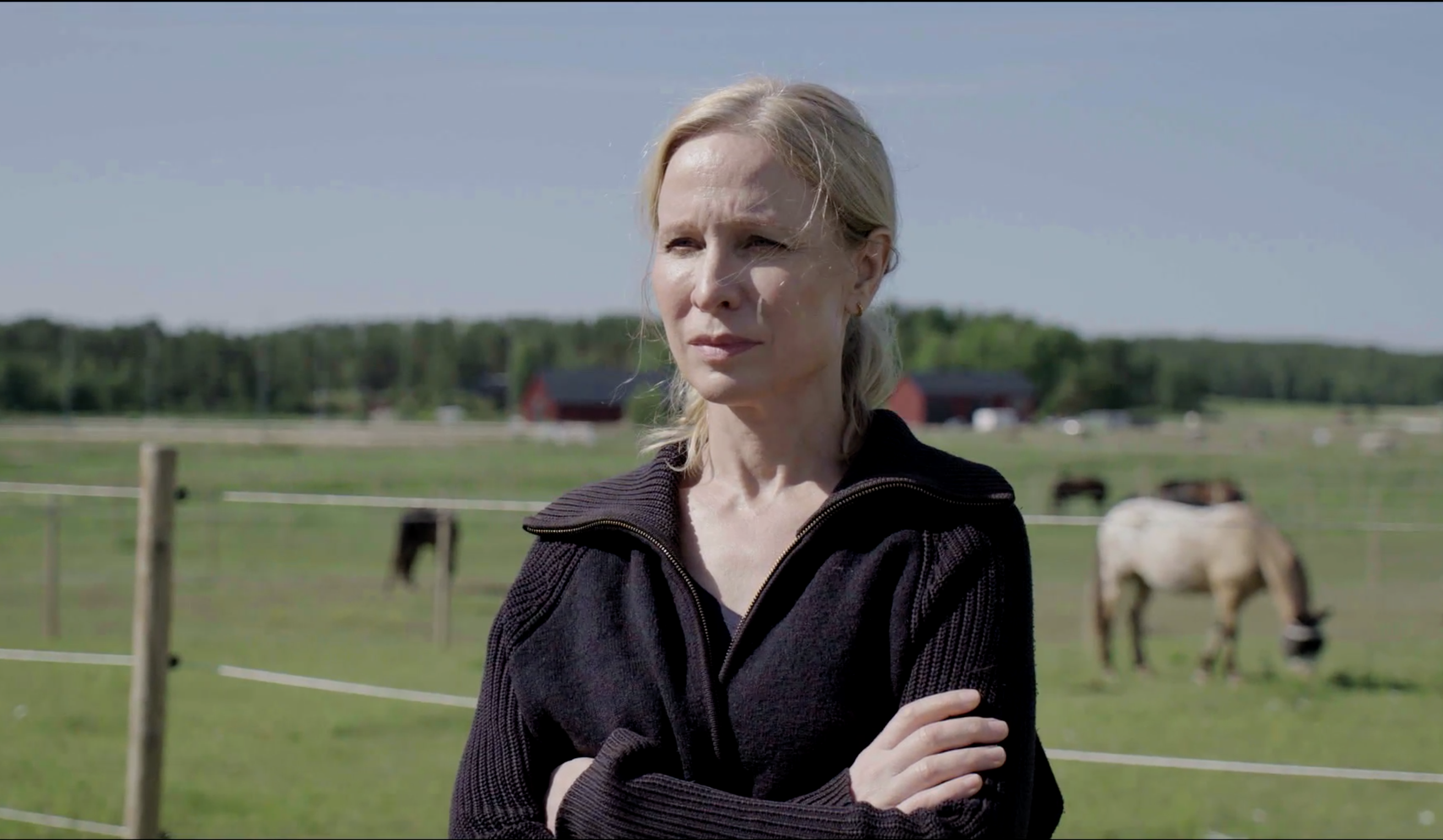 Sandra's Pledge — equestrian crime series in development